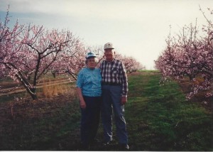 Martha and Roy Peach Blooms in the Spring